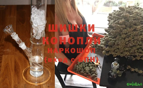 прущие крисы Арсеньев