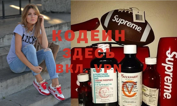 индика Армянск