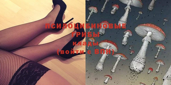 индика Армянск